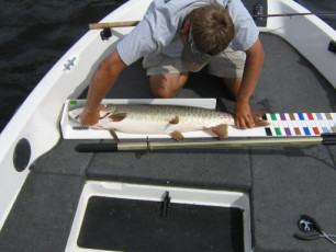 9a28451b-66f6-4f93-a5c5-93e69f080238