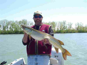 9b104e23-cc04-4a66-8dd9-1d746affe1ba