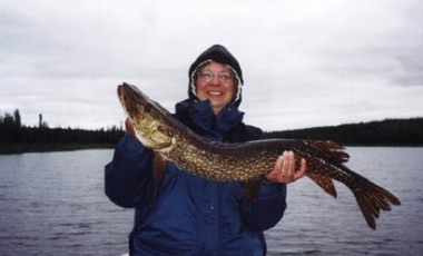 9b35576e-609a-4de9-9287-4a78aaa53663