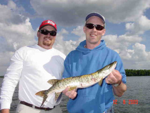 9bf788dd-b085-44ef-888c-3f7008f2bd2c