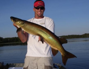 9c1dcef7-2cbf-46a1-a73f-9244c92dc38b