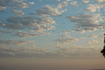 9c2aa55c-185f-41fd-8bee-85e5e9660cd0