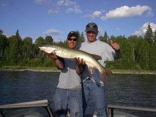 9e3c3200-cc73-4995-a53a-4dd11f5a0f6f