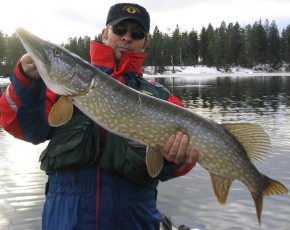 9e70f861-282b-4e3e-a6f1-eaa2595c9dab