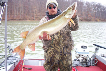 9e920f1f-fbac-45f0-bc0a-9540b02ca591