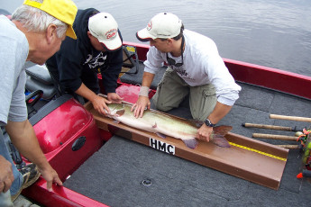 9ec01d91-25b1-4225-8fe2-a9dd83f77376