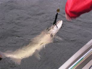 9f5cffbe-6a9f-4ba8-a998-181b1928f237