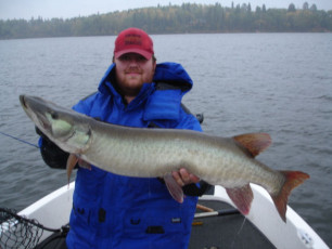 9fc4e9a2-7383-4507-9eb3-879d69e64eac