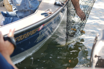 A07007AB-C692-46C3-B036-8F8F0953DE5F