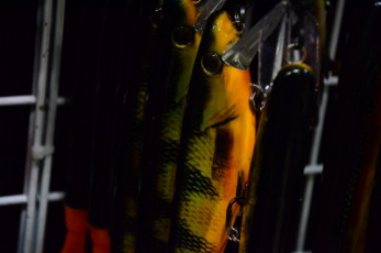 A0A70C6E-2C53-442C-8538-BB361AFF5BD7