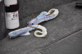 A19AC257-5BF7-4992-A418-511432AB6A2D