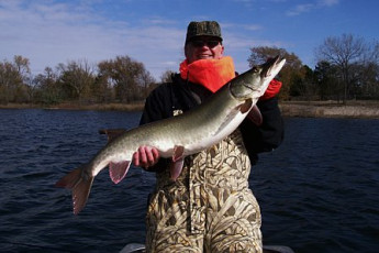 A1B7750D-135A-415A-8F21-91EC9E86ADC8