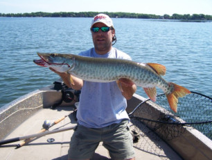 A1D3B6F2-FCAE-409B-8A07-80C9EC2F8E8F