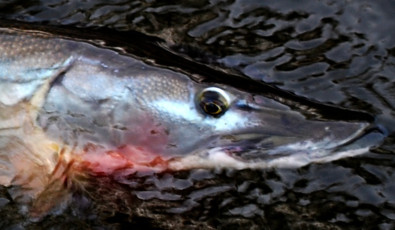 A2722453-A1B8-4FF4-805E-A4E673DF3AE6