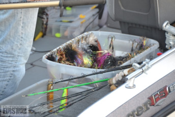 A2BD9A44-E71F-4A77-B1CB-C95EE368E5D8