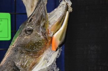 A3BB3A18-0898-46F5-8D65-2753BD2A0EAD