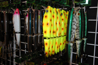 A3F08C8B-1DC7-4FCF-871D-B258F45C948F