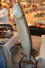 A483B15B-630D-432E-BB2B-BA78DEB298DA