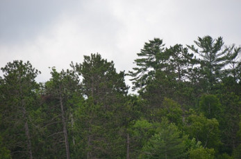 A522C76E-CD67-4DCB-BB2A-0D69B9B3222A