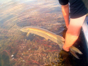 A67E85FF-5754-446D-8F45-9A0D65A1C91C