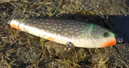 A6E363E8-713F-489D-8104-E091FAEB2F30