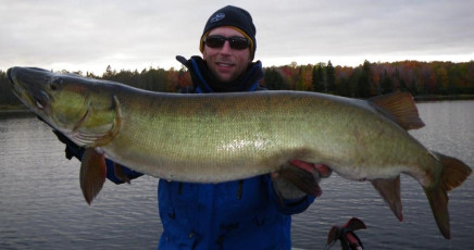 A81CED08-AB03-4135-AC9D-1F108D34AAC9