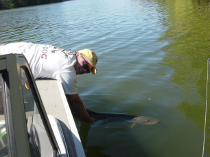 A8A3B84C-4991-4A9A-A8FA-1FF2DE79984F