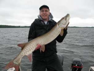 A8C13BC9-935E-4B3E-8265-D4259809E07C