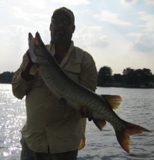 A8FA6984-C6D1-467E-8F37-E5A6564DA19C