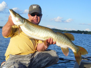 A9A1C552-A4FE-492F-BE42-1A1FBD81D6D9