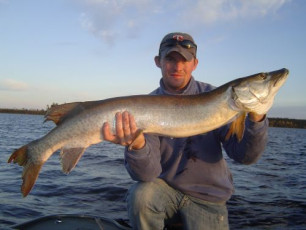 AA1578E0-9284-445B-BD93-25748DD54483