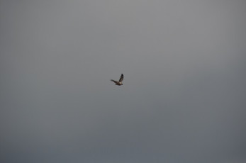 AA3D1303-57B1-456B-BCE4-CC8EF1885717