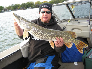 ABD41FF1-CF50-4603-8136-C22A026E1752