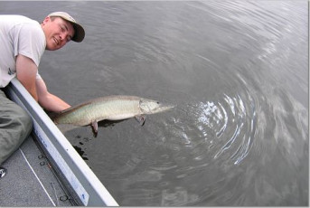 AC232256-7EC4-47E1-958B-BD1E97F65E5C