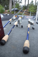 AD6E302E-2D1A-4C3C-90D1-C582DF6FDBCD