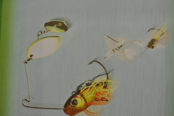 AD968F76-7AE7-44EE-A229-D5593F379700