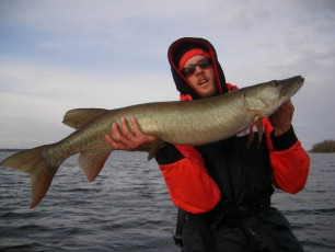 AF043AC7-BB4A-41A6-8F38-3FA56225C246