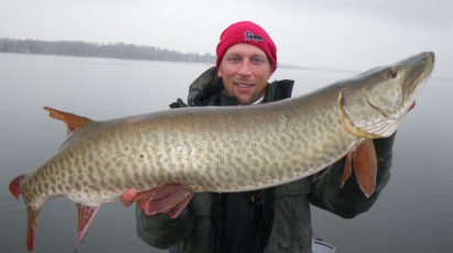 B08ECAF1-4C78-4346-BEF0-4EBF47EECB54