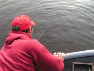 B09B8622-12D2-4C2D-9579-DE1C08B67CD3