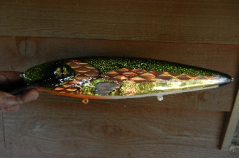 B0EFE11F-1A1F-4131-81B9-78AA542E1BCF