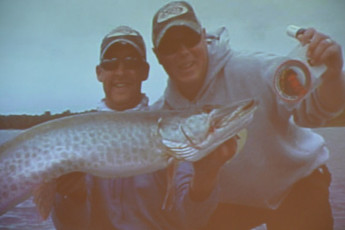 B1179A9B-D85C-4C6B-9C96-BBCCEB899AE2