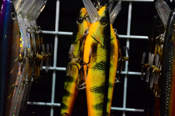 B15C562A-1C58-49F0-8032-8465B9D38D85