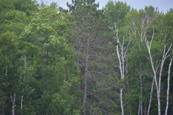 B1AEB22F-D8C1-4E8D-96D9-8775EC001F6B