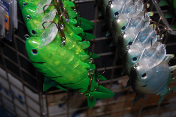 B1C31A24-A7C1-43BE-99CE-B2D26A8B1969