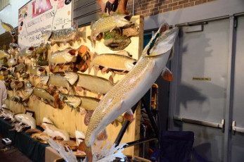 B2018B4A-1E03-43EF-9A08-4A908603F516