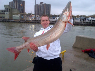 B248CE0E-A9E7-43F2-87EF-0C80F14247BC