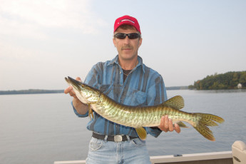 B2AFFEB8-6A24-4D50-85C7-3A15DF513512