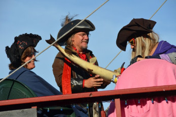 B3A77BEA-A2FC-4D1A-A4B6-1F73DE6D2325