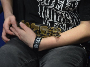 B3BD1D39-634A-4AEC-8740-0BFCE06B8D9B