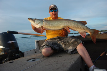 B41FDABE-3AE1-4D2D-940C-1421BB3DF990